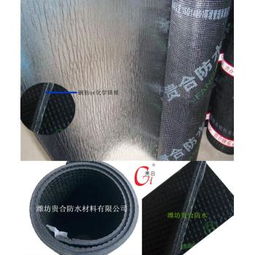 乌鲁木齐龙马防水涂料价格解析与塔城抗穿刺耐高温产品推荐
